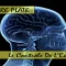 #TERRE PLATE – LE CONTRÔLE DE L’ESPRIT