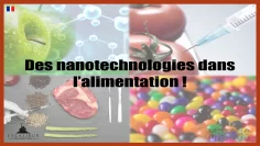 des-nanotechnologies-dans-nos-assiettes-DissidenceTV