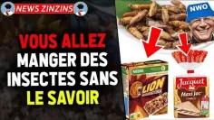 l-ue-autorise-l-ajout-d-insectes-dans-l-alimentation-DissidenceTV