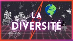 la-diversite-DissidenceTV-