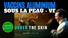 sous-la-peau—under-the-skin-vf-DissidenceTV