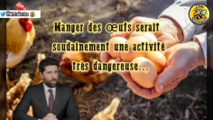 manger-des-œufs-est-soudainement-une-activite-tres-dangereuse-DissidenceTV