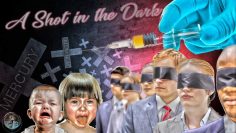 a-shot-in-the-dark–vostfr——–documentaire-2020-sur-les-ravages-des–vaccinations—DissidenceTV
