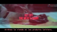 la-drogue-la-plus-destructrice-au-monde—-la-pilule-rouge-vegetalienne—DissidenceTV-