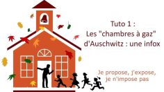 les-tutos-du-prof-revoque—tuto-1-les-chambres-a-gaz-d-auschwitz-une-infox-DissidenceTV-