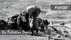 -nakba—en-palestine-depuis-75-ans—-DissidenceTV-