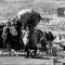 #NAKBA : En Palestine Depuis 75 Ans !!