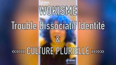 wokisme-et-trouble-dissociatif-de-l-identite—la-«culture-plurielle»-provoque-une-epidemie-tdi-fake-DissidenceTV-