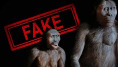 les-mensonges-de-la-paleoanthropologie–theorie-de-l-evolution–DissidenceTV-