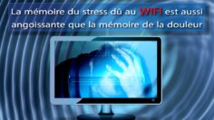La mémoire du stress dû au WIFI est aussi angoissante que la mémoire de la douleur – Dissidencetv.fr