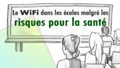 Le WiFi dans les écoles malgré les risques pour la santé – Dissidencetv.fr