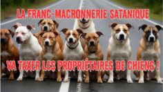 La Franc-macronnerie satanique va taxer les propriétaires de chiens ! – DissidenceTV